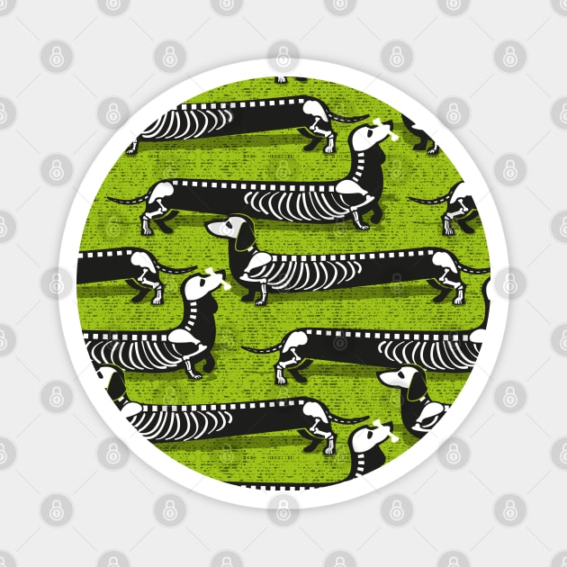 Spooktacular long dachshunds skeleton // pattern // bahia green background skeleton dogs Magnet by SelmaCardoso